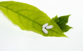 11 begyndervenlige stillinger til dyb penetration