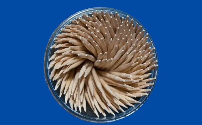 11 måder for par at bruge en wand-vibrator