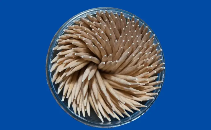 11 måder for par at bruge en wand-vibrator