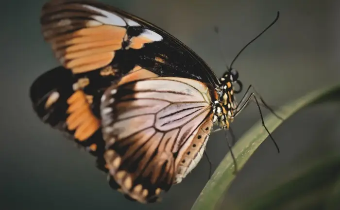 9 sikre tegn på, at hun vil ses igen - en guide til mænd