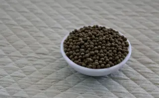 Hvad er chancen for at blive gravid på p-piller? Sandheden, tallene og eksperternes råd