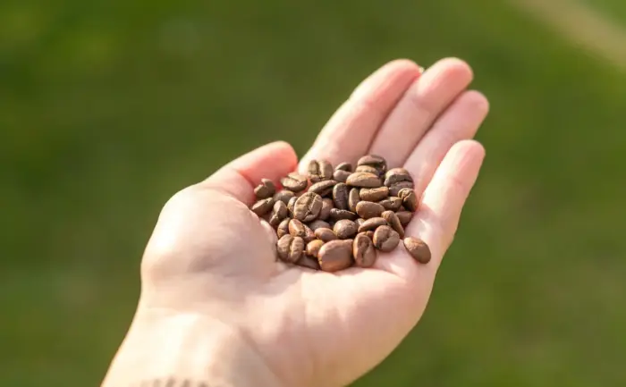 Hvad er monogami? - Myte, valg eller kærlighedens kerne?