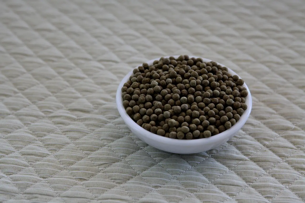 Hvad koster klamydia piller? Din guide til pris, gratis behandling og hurtig heling