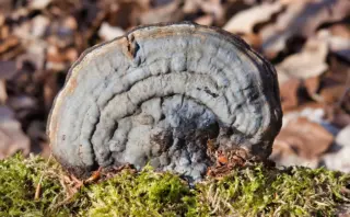 Hvad koster Tinder? - Alt om priser, abonnementer og tips til at spare