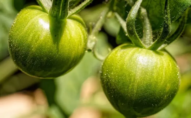 Hvor sikkert er kondom? Sandheden om beskyttelse, fejl og myter