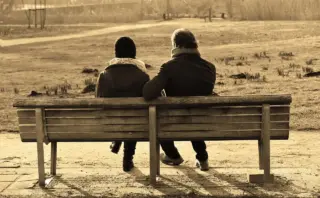 Krydsord hjælp til Voila