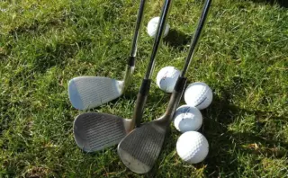 Skal vi anskaffe os et kæledyr sammen – og hvem gør hvad?