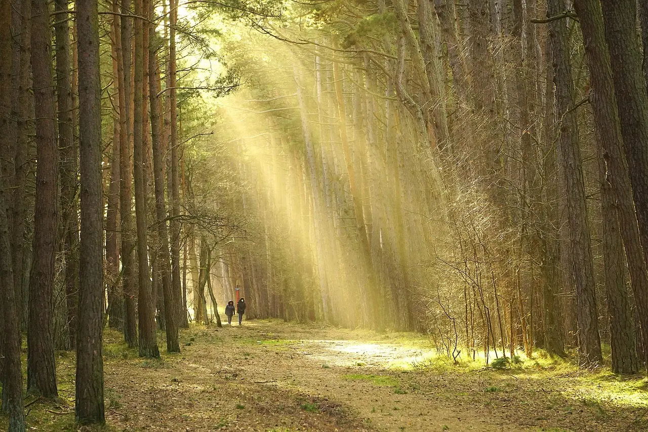 Langsom sex: sådan træner I nærvær og sanselighed