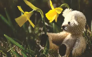 7 budgetvenlige dateidéer til mænd på SU