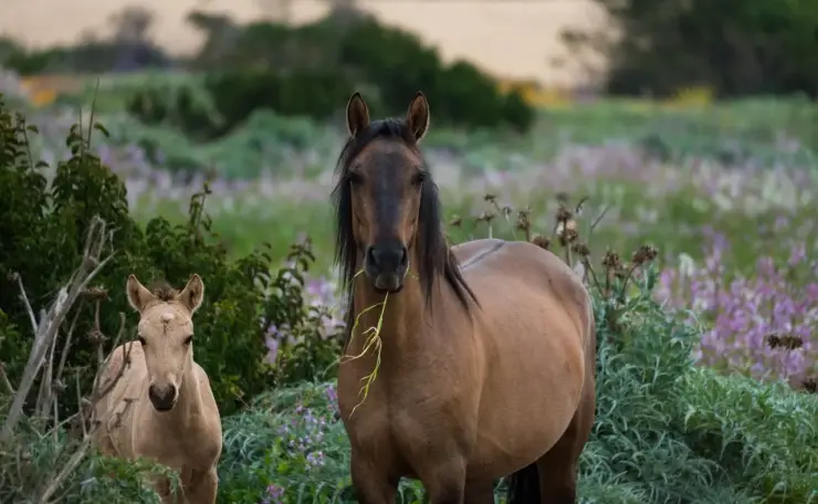 Medvirkende i Mare Of Easttown