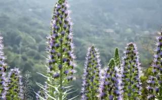 Medvirkende i Sinister