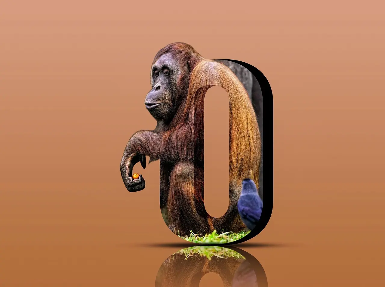 Navne med Ø – Moderne navne der hitter