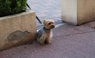 Kilepuder: bedre vinkler og dybere penetration